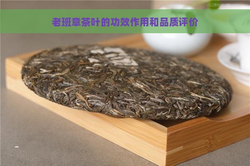 老班章茶叶的功效作用和品质评价