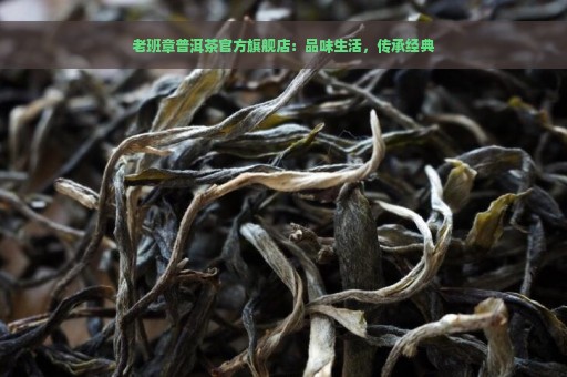 老班章普洱茶官方旗舰店：品味生活，传承经典