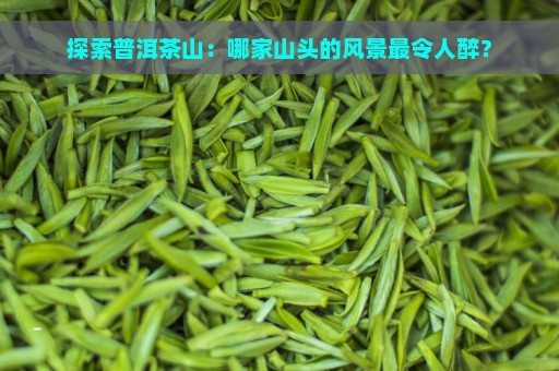 探索普洱茶山：哪家山头的风景最令人醉？