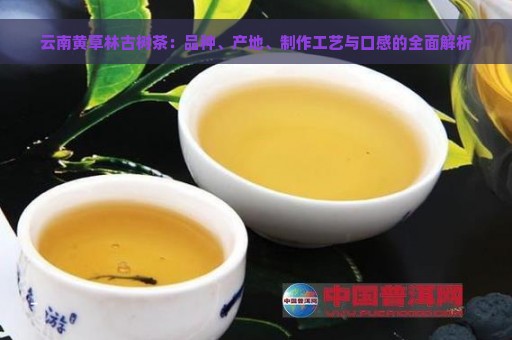 云南黄草林古树茶：品种、产地、制作工艺与口感的全面解析