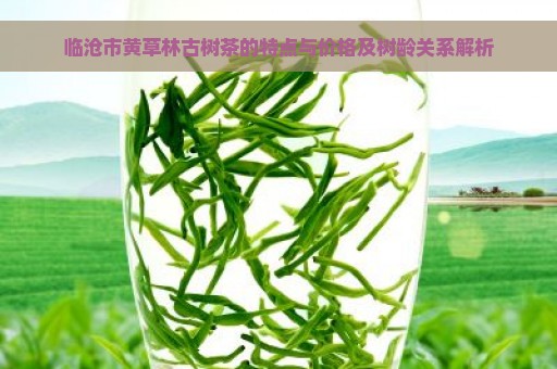 临沧市黄草林古树茶的特点与价格及树龄关系解析