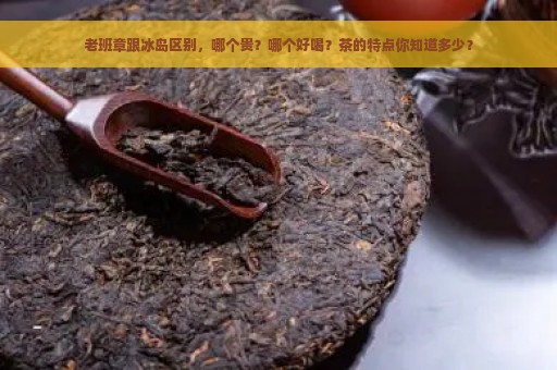 老班章跟冰岛区别，哪个贵？哪个好喝？茶的特点你知道多少？