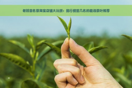 老班章名茶淘宝店铺大比拼：排行榜前几名的精选茶叶推荐