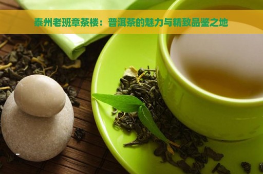 泰州老班章茶楼：普洱茶的魅力与精致品鉴之地