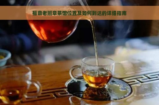 福鼎老班章茶馆位置及如何到达的详细指南