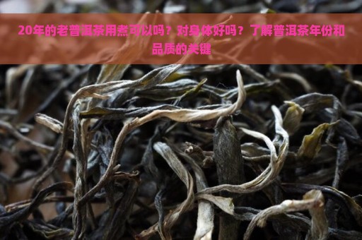 20年的老普洱茶用煮可以吗？对身体好吗？了解普洱茶年份和品质的关键