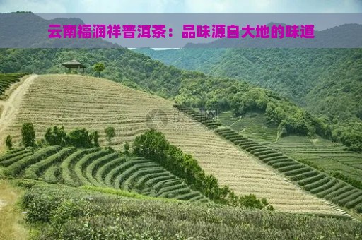 云南福润祥普洱茶：品味源自大地的味道