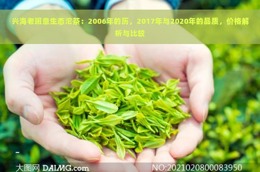 兴海老班章生态沱茶：2006年的历，2017年与2020年的品质，价格解析与比较