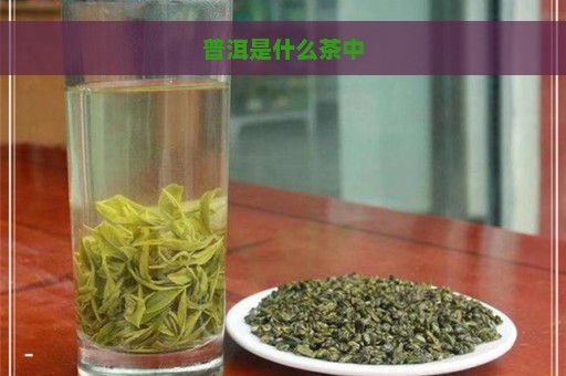 普洱是什么茶中