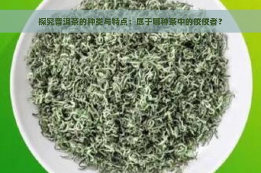 探究普洱茶的种类与特点：属于哪种茶中的佼佼者？