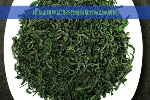 探究老班章普洱茶的独特魅力与口感解析