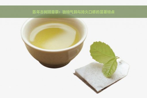 陈年古树班章茶：独特气韵与持久口感的显著特点