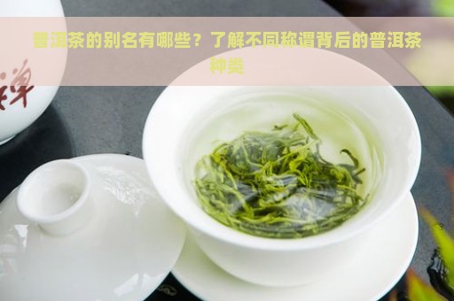 普洱茶的别名有哪些？了解不同称谓背后的普洱茶种类