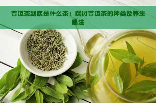 普洱茶到底是什么茶：探讨普洱茶的种类及养生喝法