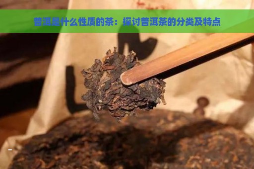 普洱是什么性质的茶：探讨普洱茶的分类及特点