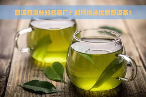 普洱有哪些知名茶厂？如何挑选优质普洱茶？