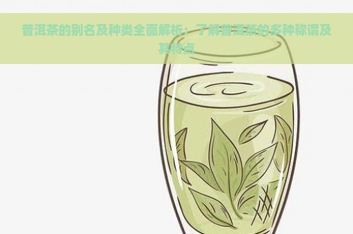 普洱茶的别名及种类全面解析：了解普洱茶的多种称谓及其特点