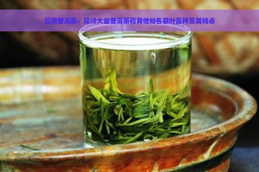 云南普洱茶：探讨大益普洱茶和其他知名茶叶品种及其特点