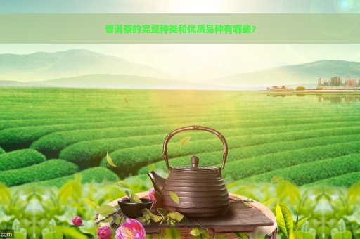 普洱茶的完整种类和优质品种有哪些？