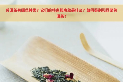 普洱茶有哪些种类？它们的特点和功效是什么？如何鉴别和品鉴普洱茶？