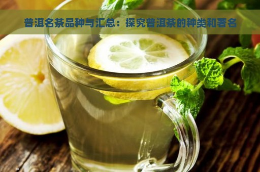 普洱名茶品种与汇总：探究普洱茶的种类和著名