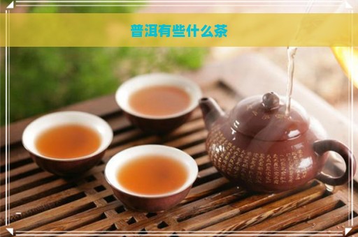 普洱有些什么茶