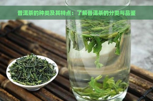 普洱茶的种类及其特点：了解普洱茶的分类与品鉴