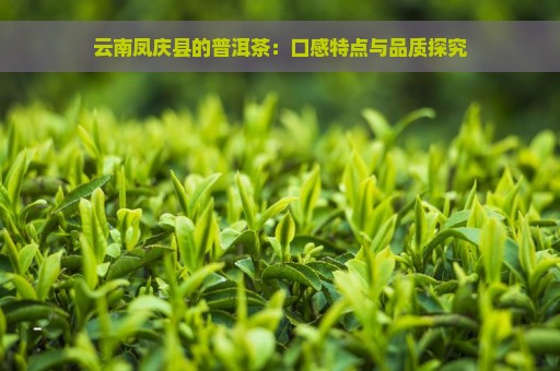 云南凤庆县的普洱茶：口感特点与品质探究