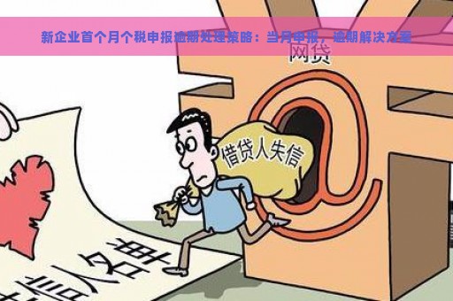 新企业首个月个税申报逾期处理策略：当月申报，逾期解决方案