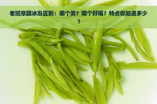 老班章跟冰岛区别：哪个贵？哪个好喝？特点你知道多少？