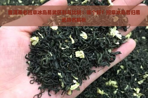 普洱茶老班章冰岛易武区别与比较：哪个好？班章冰岛昔归易武排名解析