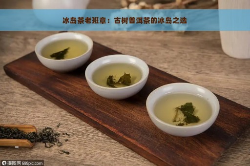 冰岛茶老班章：古树普洱茶的冰岛之选