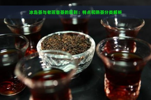 冰岛茶与老班章茶的区别：特点和熟茶分类解析