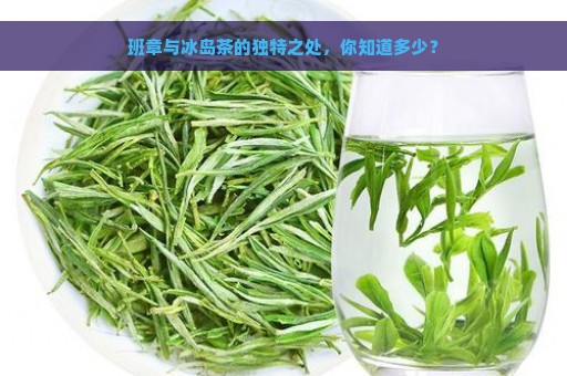 班章与冰岛茶的独特之处，你知道多少？