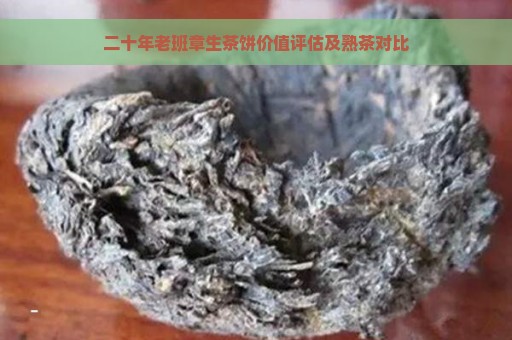 二十年老班章生茶饼价值评估及熟茶对比