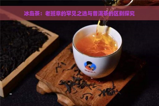 冰岛茶：老班章的罕见之选与普洱茶的区别探究