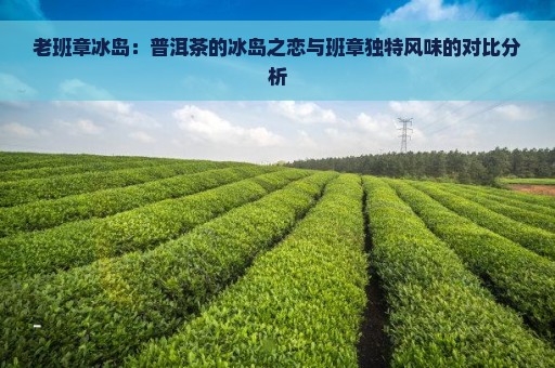 老班章冰岛：普洱茶的冰岛之恋与班章独特风味的对比分析