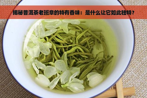 揭秘普洱茶老班章的特有香味：是什么让它如此独特？