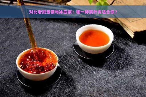 对比老班章茶与冰岛茶：哪一种茶叶更适合你？