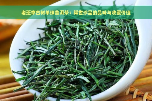 老班章古树单珠普洱茶：稀世珍品的品味与收藏价值