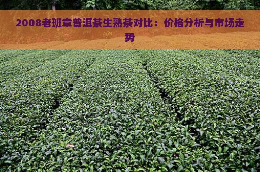 2008老班章普洱茶生熟茶对比：价格分析与市场走势