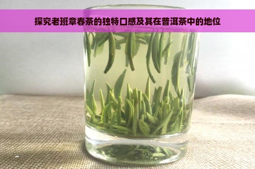 探究老班章春茶的独特口感及其在普洱茶中的地位