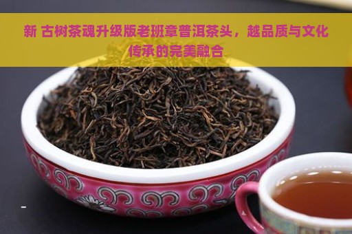 新 古树茶魂升级版老班章普洱茶头，越品质与文化传承的完美融合