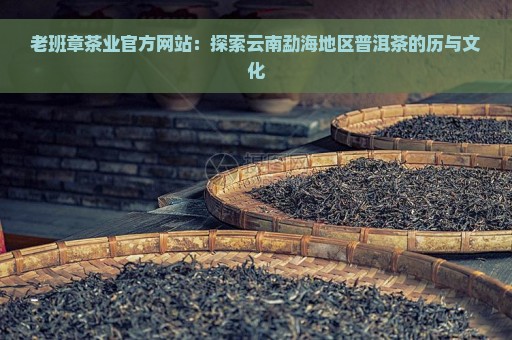 老班章茶业官方网站：探索云南勐海地区普洱茶的历与文化