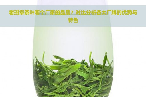 老班章茶叶哪个厂家的品质？对比分析各大厂牌的优势与特色