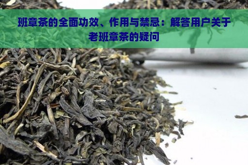 班章茶的全面功效、作用与禁忌：解答用户关于老班章茶的疑问