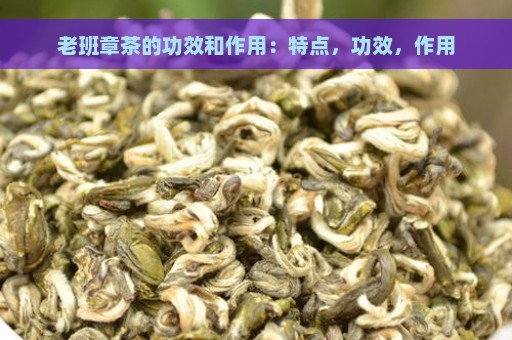 老班章茶的功效和作用：特点，功效，作用