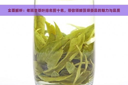 全面解析：老班章茶叶排名前十名，带你领略顶级茶品的魅力与品质