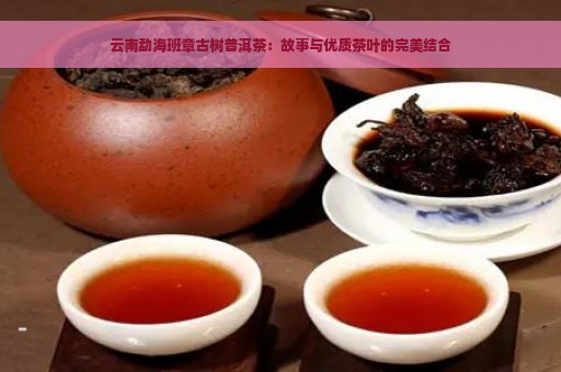 云南勐海班章古树普洱茶：故事与优质茶叶的完美结合