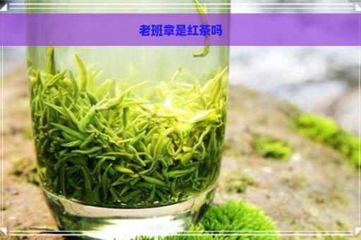 老班章是红茶吗